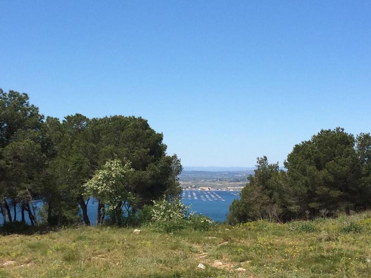 3P Climatise Avec Parking, Piscine, Proche Plage Et Commerces A Sete - Fr-1-338-497 Dış mekan fotoğraf